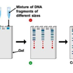 AIR POLLUTION AND ITS CONTROL