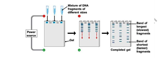 AIR POLLUTION AND ITS CONTROL