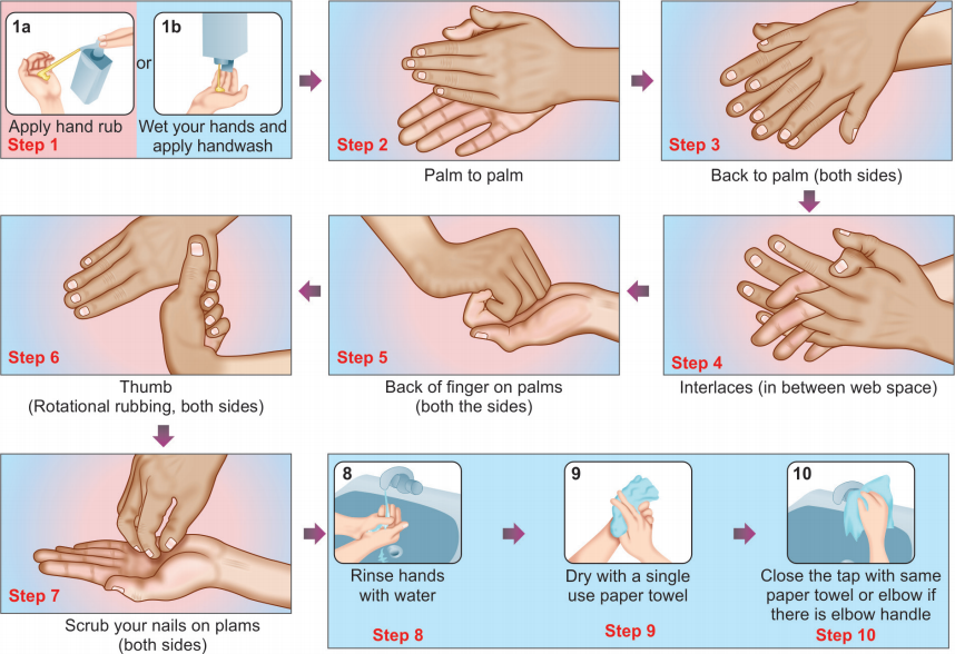 7 steps of hand hygiene