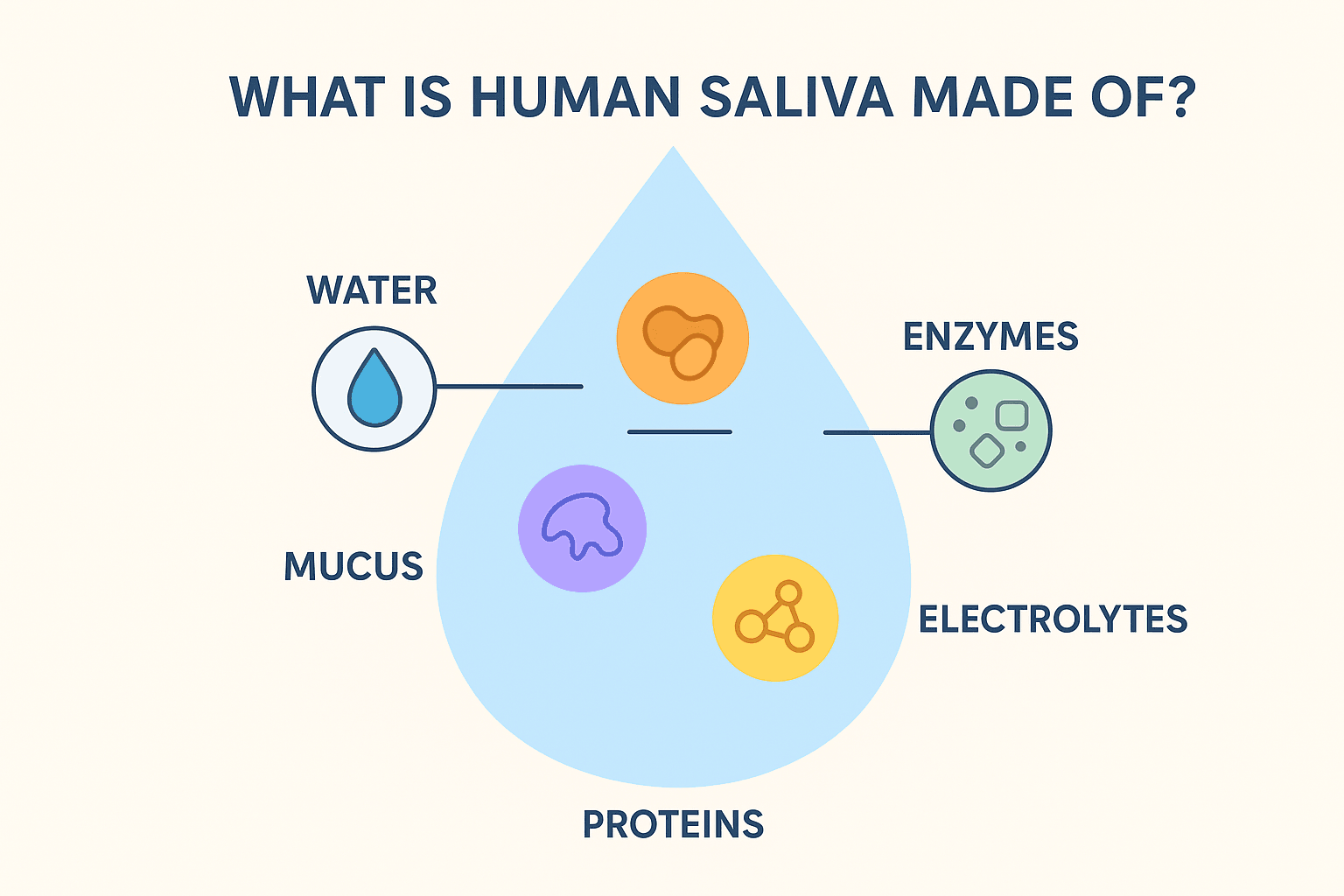 Why oxygen is essential for respiration and energy production in human cells