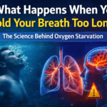 Man holding breath underwater showing lungs and brain oxygen deprivation illustration