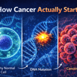 Illustration showing how cancer starts in the body with DNA mutation causing uncontrolled cell division and tumor formation.