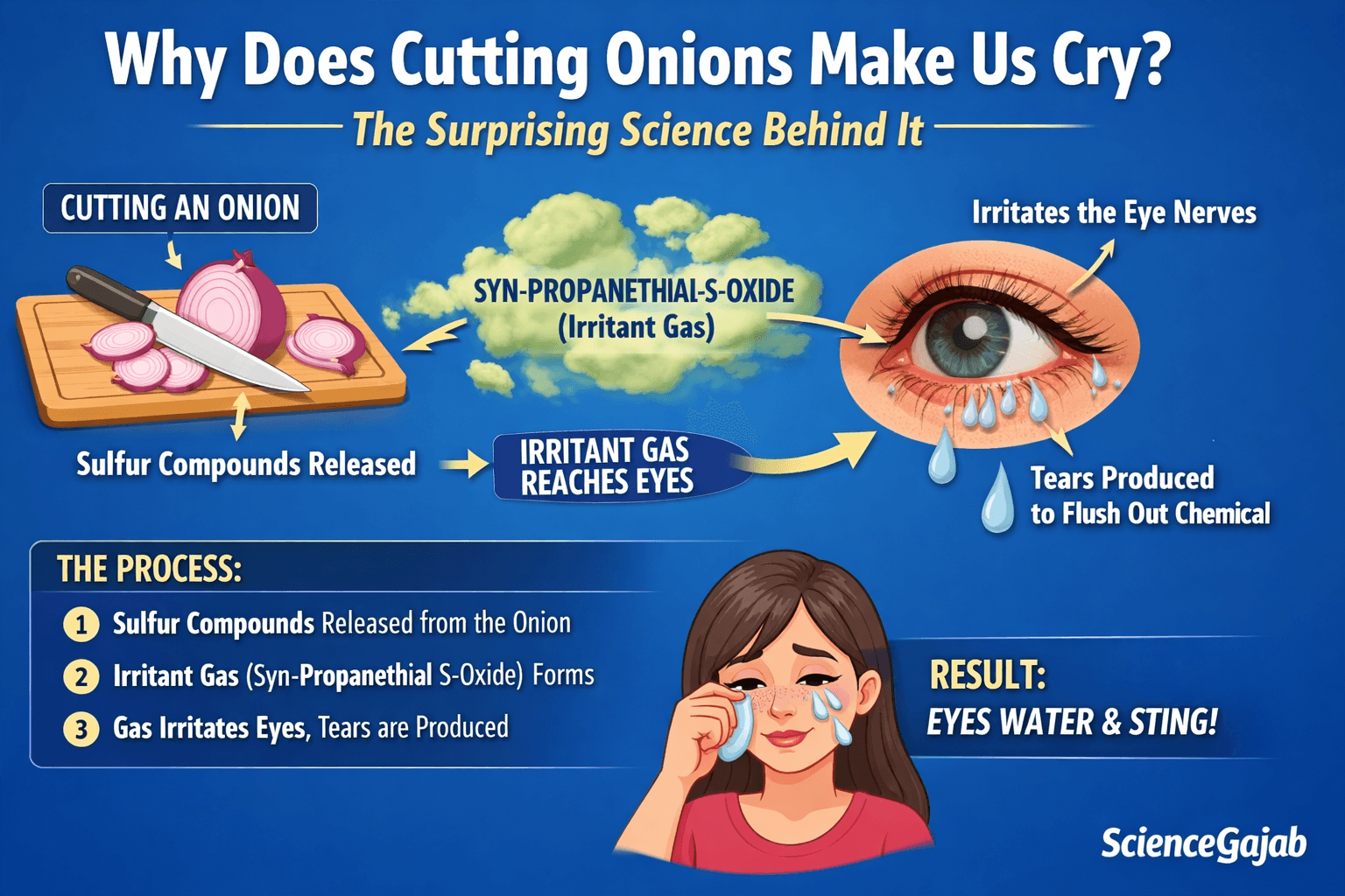Infographic explaining why cutting onions makes us cry, showing release of sulfur compounds, formation of syn-propanethial-S-oxide gas, irritation of eye nerves, and tear production to flush out the chemical (ScienceGajab).