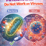 Educational illustration comparing bacteria and viruses, showing how antibiotics destroy bacterial cell walls but do not work against viruses.