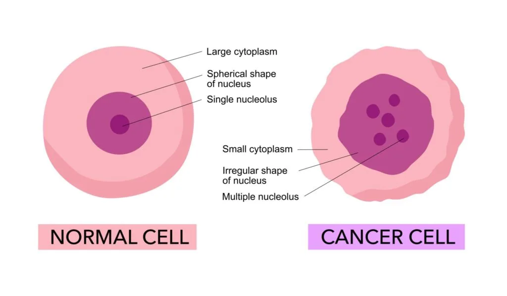 normal cell vs abnormal cell