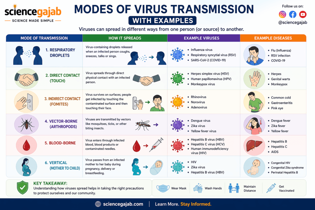 Modes of virus transmission with examples including droplets, contact, airborne, vector-borne, blood-borne, and mother-to-child spread – sciencegajab