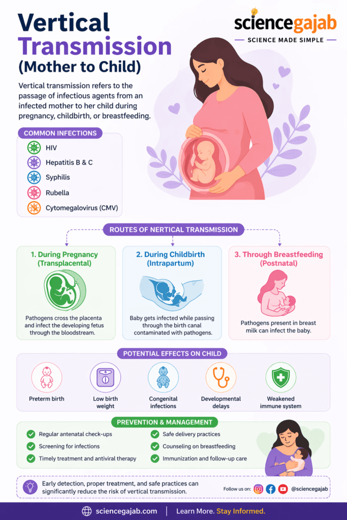 Educational infographic illustrating how infectious diseases pass from an infected mother to her baby during pregnancy, delivery, or breastfeeding, along with prevention methods – sciencegajab