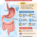 Why does stomach growl even when not hungry infographic showing borborygmi, gas, fluid movement, and digestive muscle contractions
