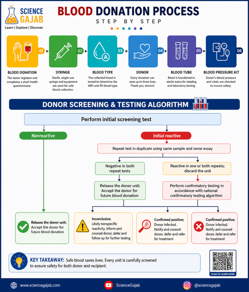 Blood donation process infographic showing step-by-step procedure including donor registration, blood collection, blood typing, and laboratory testing, along with donor screening algorithm illustrating nonreactive and reactive results, repeat testing, confirmatory testing, and final outcomes, 