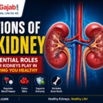 Functions of the Kidney: 12 Essential Roles Your Kidneys Play in Keeping You Healthy – Educational medical infographic featuring a detailed illustration of both human kidneys with labeled functions including filtering waste and toxins, maintaining fluid and electrolyte balance, regulating blood pressure, producing red blood cells, supporting bone health, activating vitamin D, and maintaining acid-base balance. The image has a blue medical background