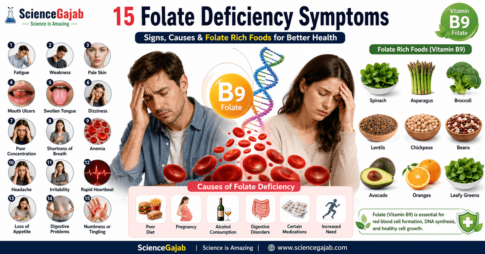 Medical illustration showing common folate deficiency symptoms including fatigue, mouth ulcers, swollen tongue, anemia, dizziness, and folate-rich foods.