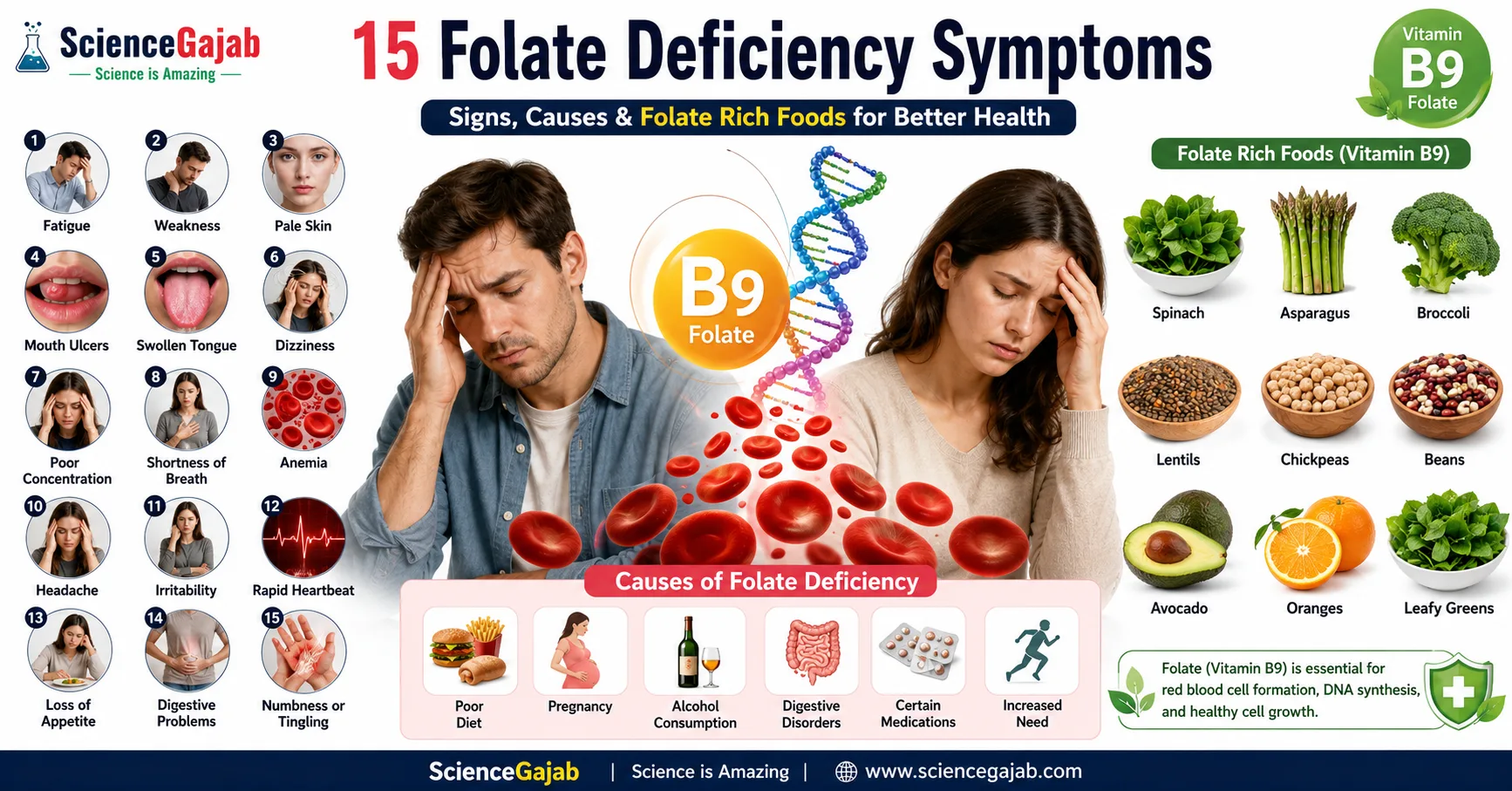 Medical illustration showing common folate deficiency symptoms including fatigue, mouth ulcers, swollen tongue, anemia, dizziness, and folate-rich foods.
