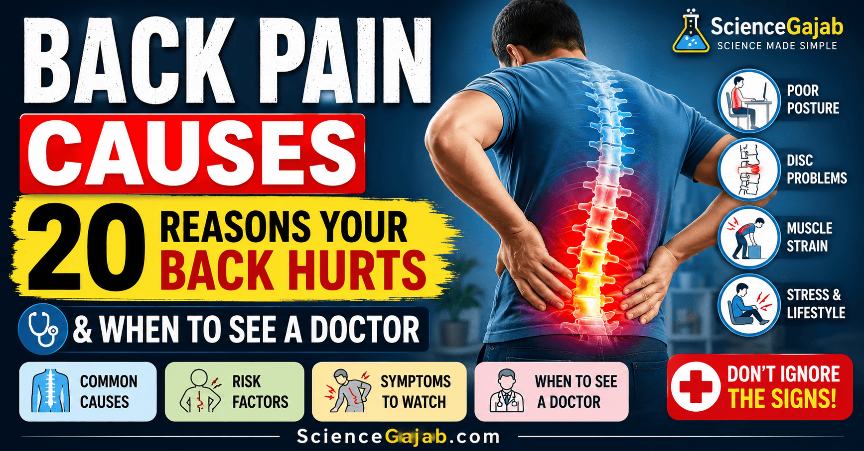 Featured infographic illustrating 20 common causes of back pain, including poor posture, herniated disc, muscle strain, arthritis, kidney problems, osteoporosis, sciatica, and spinal conditions. A person holds their lower back with a highlighted spine, alongside warning signs and guidance on when to see a doctor.