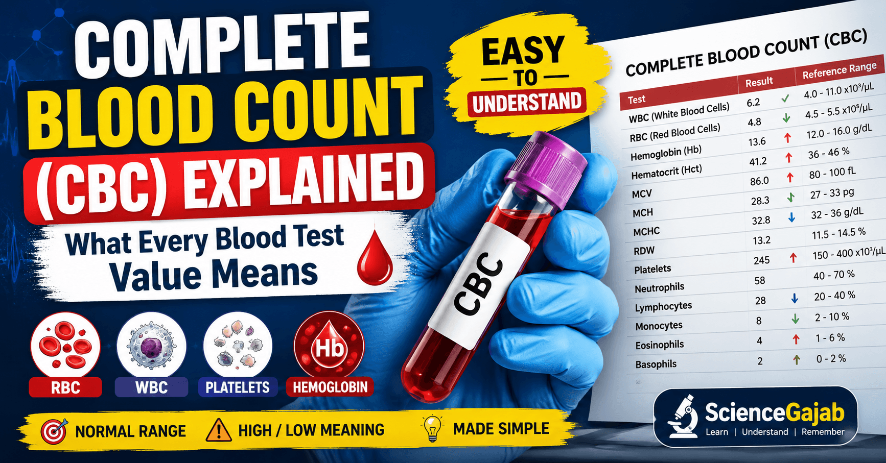 Complete Blood Count (CBC) explained infographic showing a CBC blood sample tube, red blood cells (RBC), white blood cells (WBC), platelets, hemoglobin, and a CBC report with normal blood test values and reference ranges.