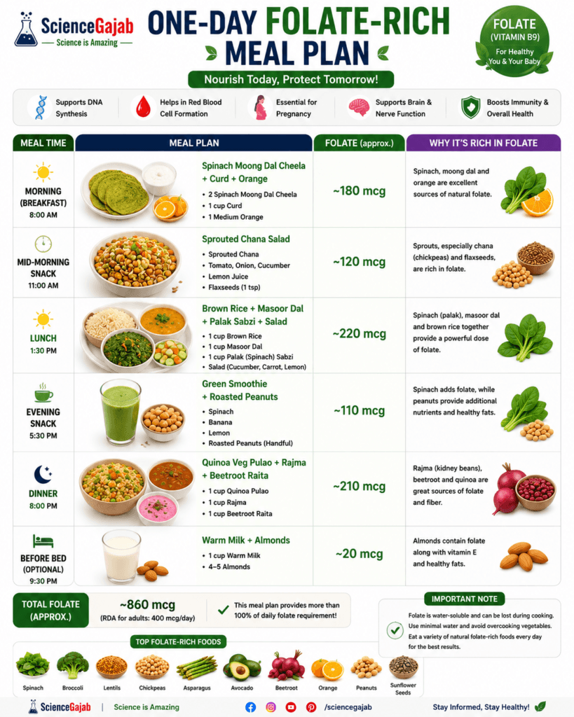 High-resolution infographic showing a one-day folate-rich meal plan with breakfast, mid-morning snack, lunch, evening snack, dinner, and an optional bedtime snack. Meals include spinach moong dal cheela with curd and orange, sprouted chana salad, brown rice with masoor dal and spinach, green smoothie with roasted peanuts, quinoa vegetable pulao with rajma and beetroot raita, and warm milk with almonds. Each meal lists its approximate folate content and explains why the ingredients are rich in folate. The infographic also highlights the total daily folate intake, the health benefits of folate for DNA synthesis, red blood cell formation, pregnancy, brain function, and immunity, provides cooking tips to preserve folate, and showcases common folate-rich foods including spinach, broccoli, lentils, chickpeas, asparagus, avocado, beetroot, oranges, peanuts, and sunflower seeds. ScienceGajab