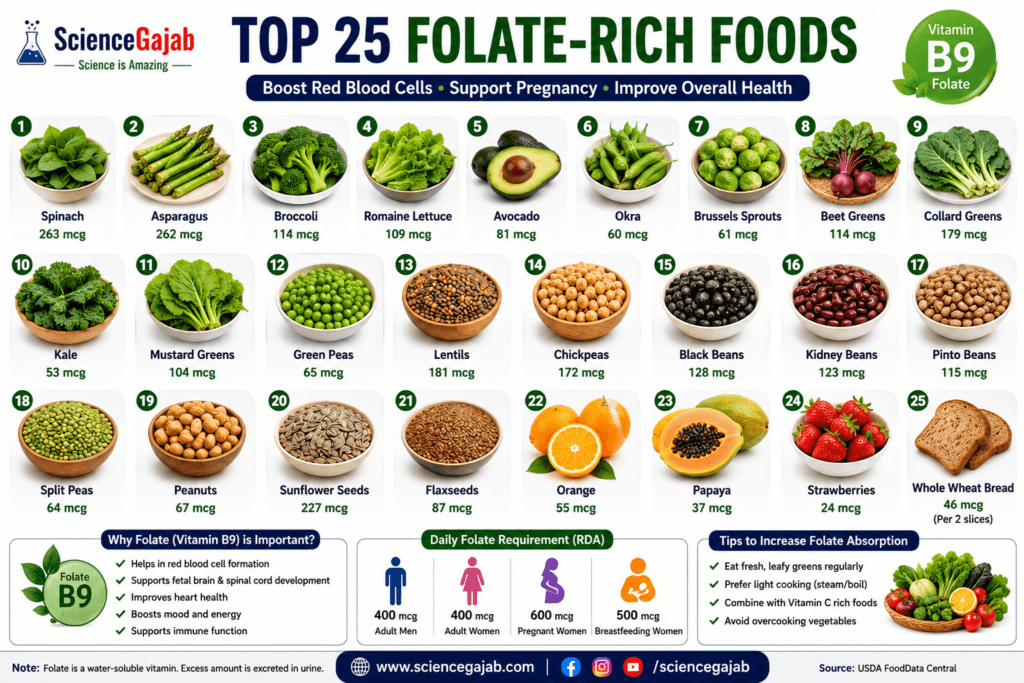 High-resolution infographic showcasing the top 25 folate-rich foods (vitamin B9), including spinach, asparagus, broccoli, romaine lettuce, avocado, okra, Brussels sprouts, beet greens, collard greens, kale, mustard greens, green peas, lentils, chickpeas, black beans, kidney beans, pinto beans, split peas, peanuts, sunflower seeds, flaxseeds, oranges, papaya, strawberries, and whole wheat bread. Each food is displayed with its approximate folate content per serving. The infographic also explains the benefits of folate for red blood cell production, DNA synthesis, pregnancy, heart health, and immune function, includes recommended daily folate intake for different age groups, practical tips to improve folate absorption,