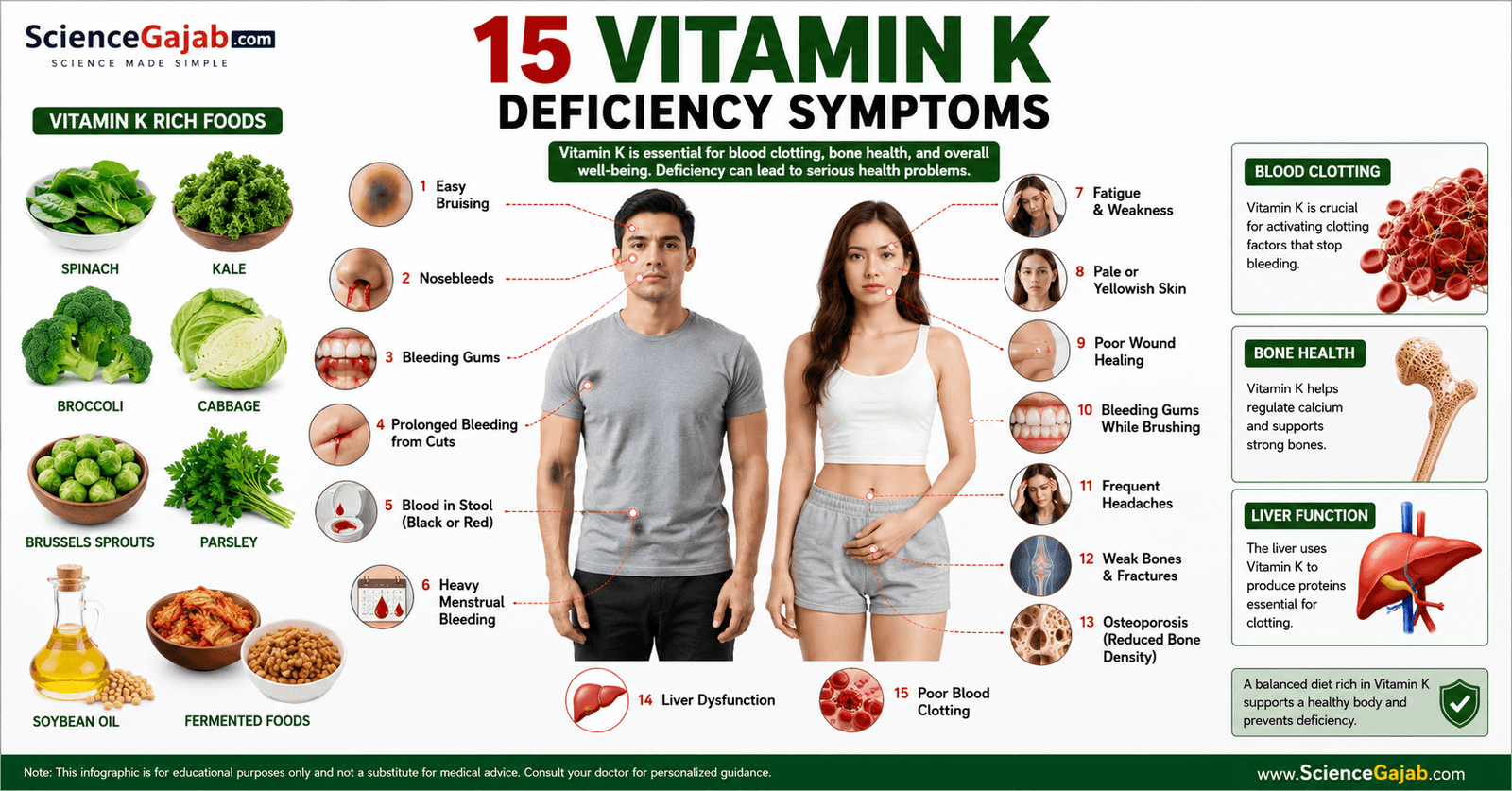 Medical infographic showing common vitamin K deficiency symptoms including easy bruising, bleeding gums, nosebleeds, and vitamin K-rich foods.